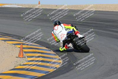 media/Feb-04-2023-SoCal Trackdays (Sat) [[8a776bf2c3]]/Turn 10 Backside (1010am)/